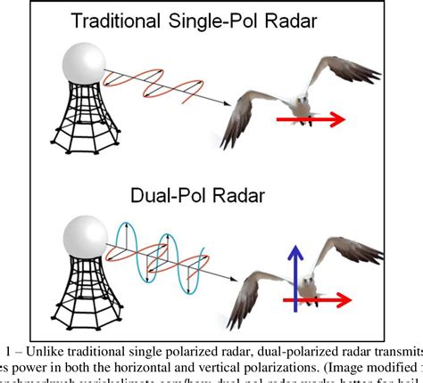 polarimeter radar orthogonal superposition|polar meteorological radar.